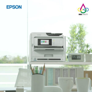 formatos web epson-48